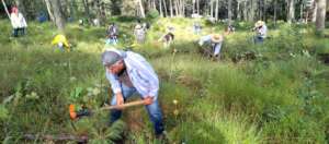 Revegetation in action in San Pablo Etla