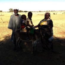 A Donkey for Madiha and Family