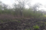 educate 100 villagers for environment in fulwe