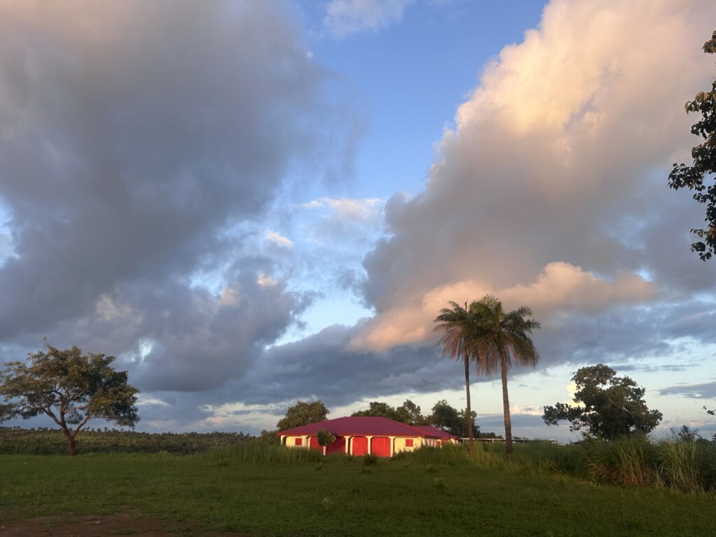 Maronka Sunrise