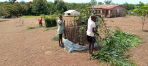 Building structures to protect seedlings
