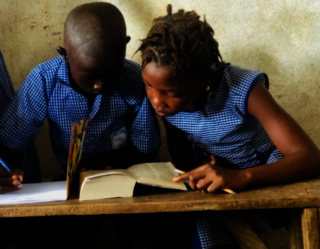 Students in partner schools using dictionaries