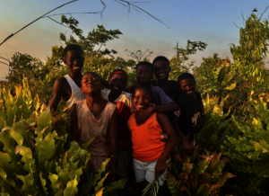 Maronka Environment Activities