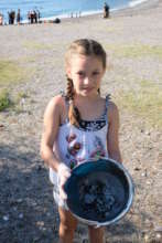 What is in the bucket?