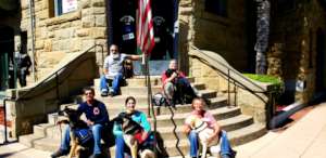 New Service Dog Teams