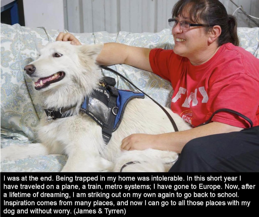 Rescue 2 Dogs - Save 2 Disabled Veterans