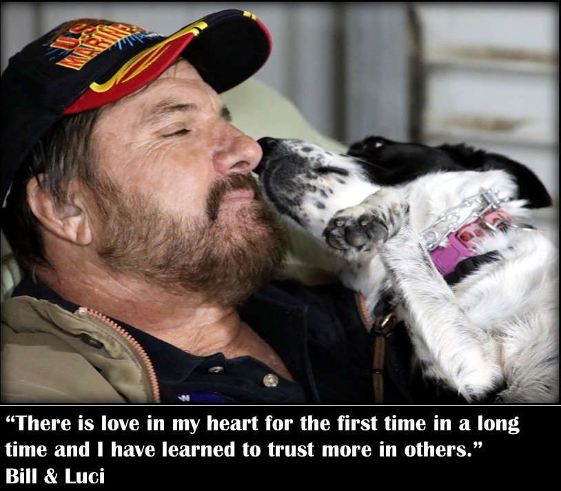 Rescue 2 Dogs - Save 2 Disabled Veterans