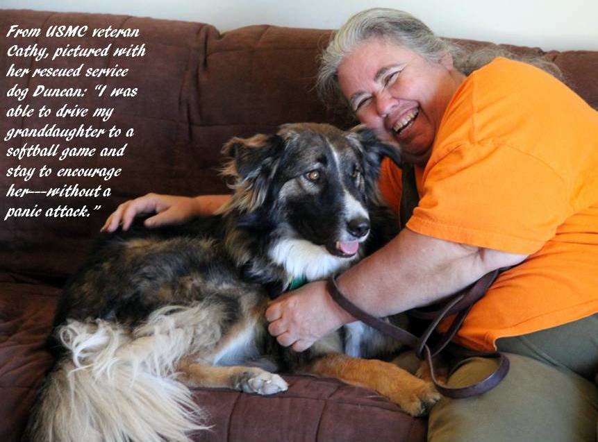 Rescue 2 Dogs - Save 2 Disabled Veterans