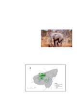 Map showing collared elephant movement (PDF)