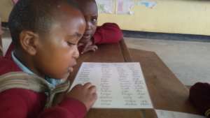 Support desks to 1200 preprimary kids in Arusha.