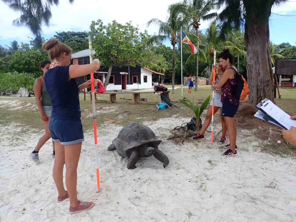 Save and Protect Turtles and Giant Tortoise's