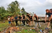 Reforestation: Bringing the Trees Back to Life