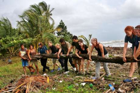 Reforestation: Bringing the Trees Back to Life