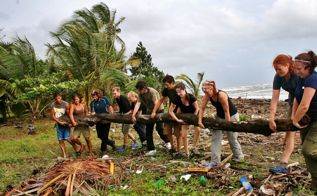 Reforestation: Bringing the Trees Back to Life