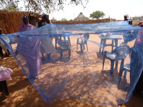 One of our large mosquito nets