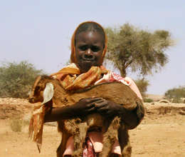 An armful of hope! Goats Milk saves lives.