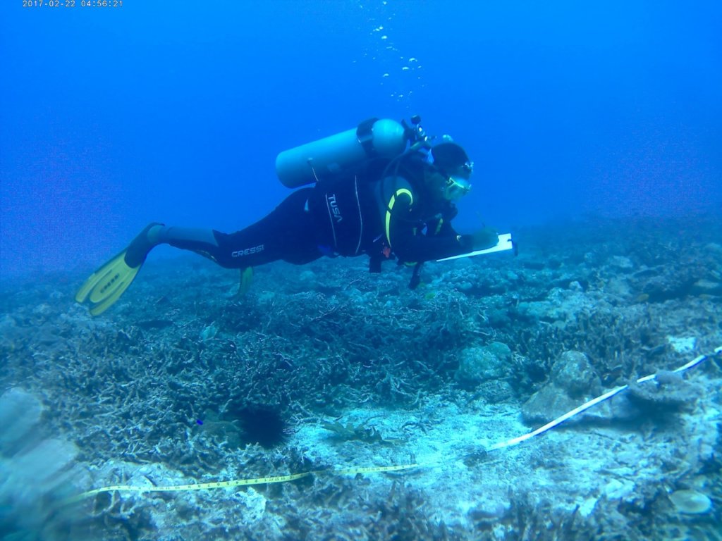 Protect Sharks from Becoming Extinct