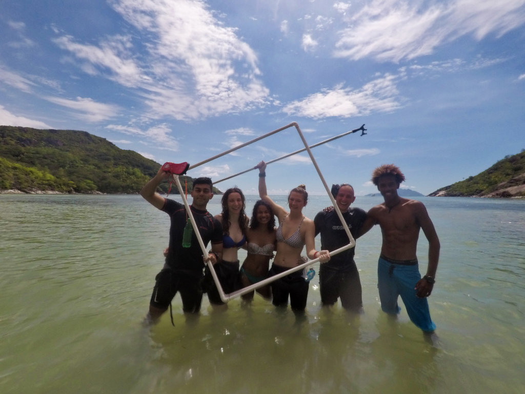 Protect Sharks from Becoming Extinct