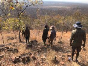 ALERT & Park team chasing lions back into the Park