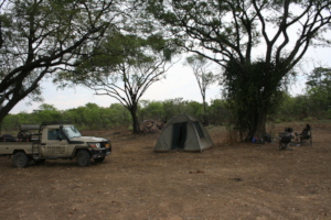 Camping out for human-wildlife mitigation measures