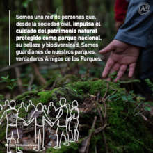 Sobre Amigos de los Parques