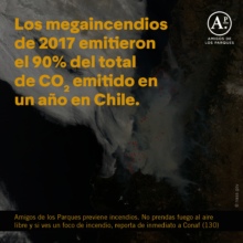Pieza grafica campana de prevencion de incendios