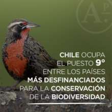 Chile 9 mas desfinanciado para conservacion
