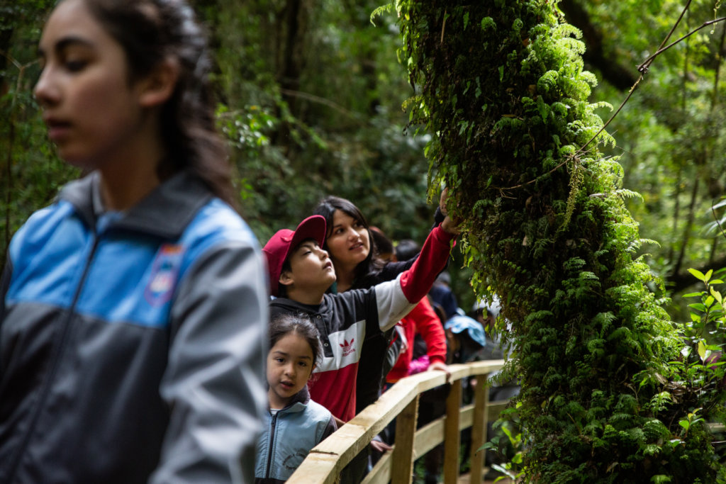 Experiencias de conexion con la naturaleza