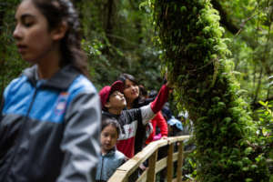 Experiencias de conexion con la naturaleza