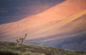 Public education campaign on Patagonia Parks