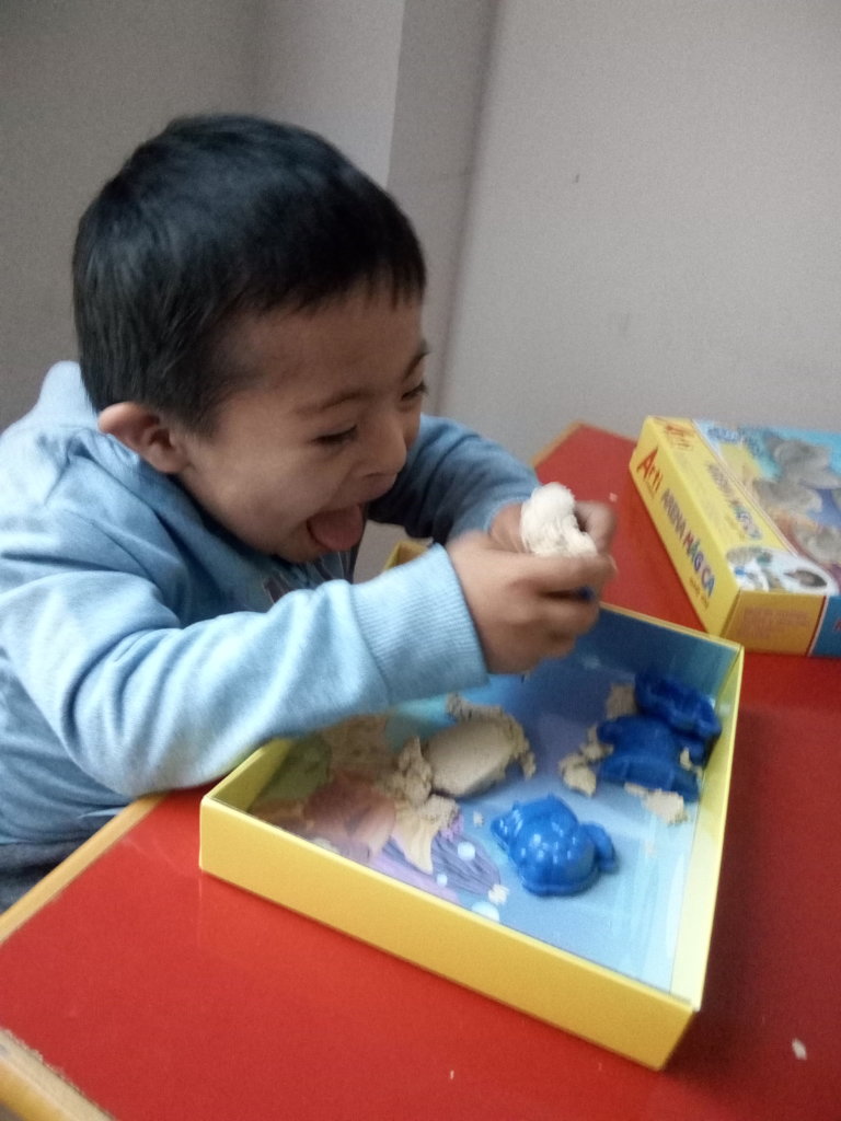 Education of poor disabled Children in Peru