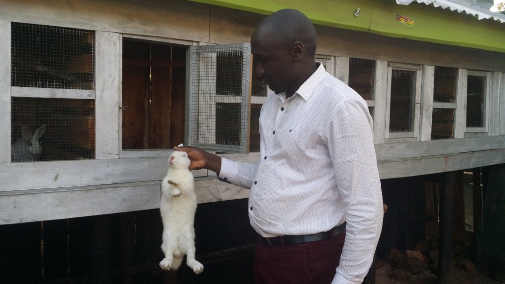 Rabbit rearing project for Family in Uganda