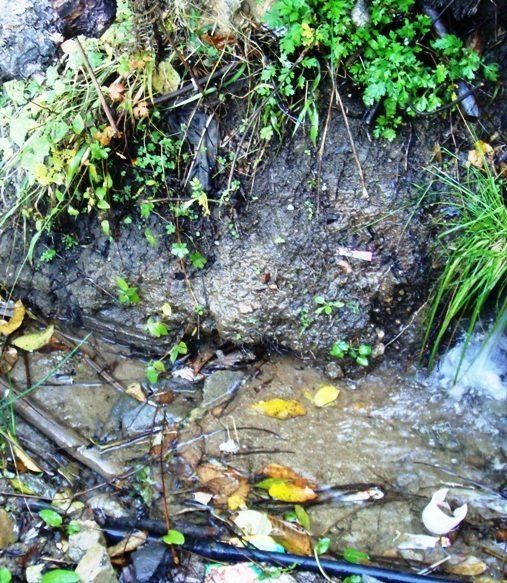 Drainage Construction for Art School in Bhutan