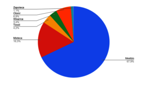 The ethnicity among the children and teenagers