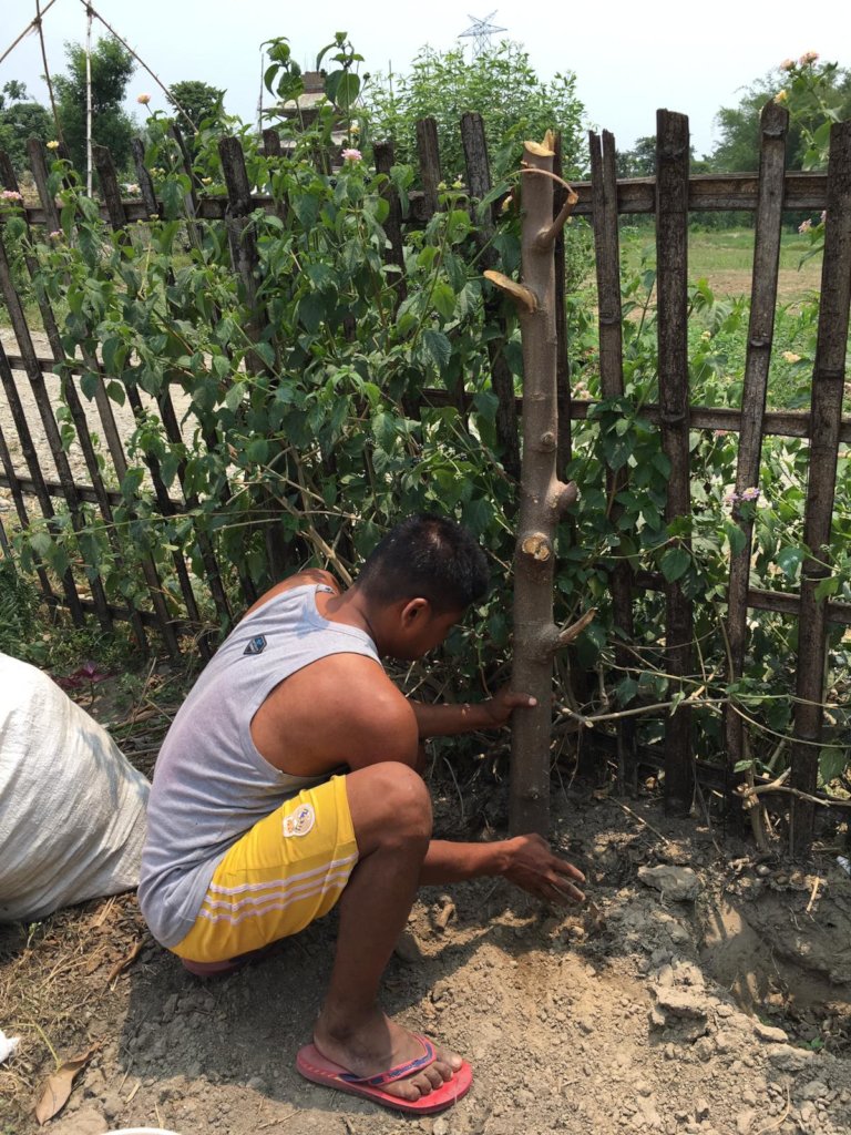 Peer training to switch to organic farming - Nepal