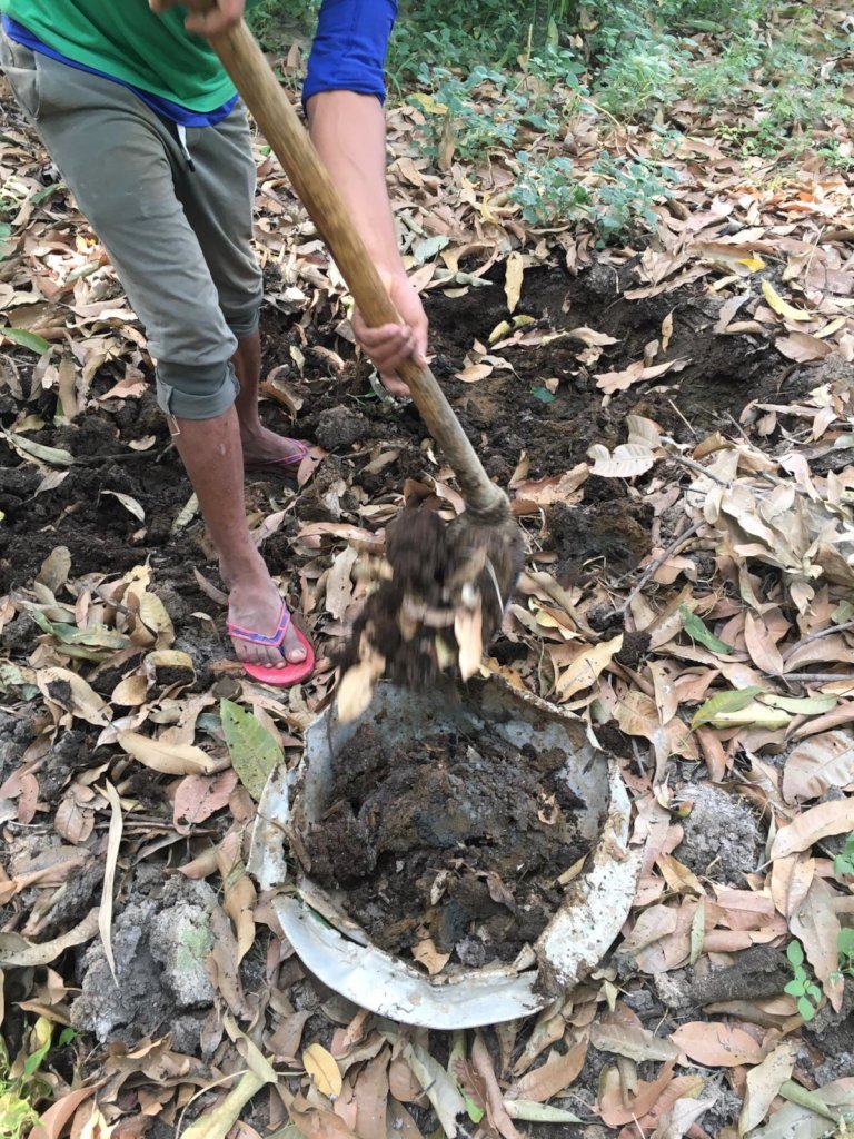 Peer training to switch to organic farming - Nepal