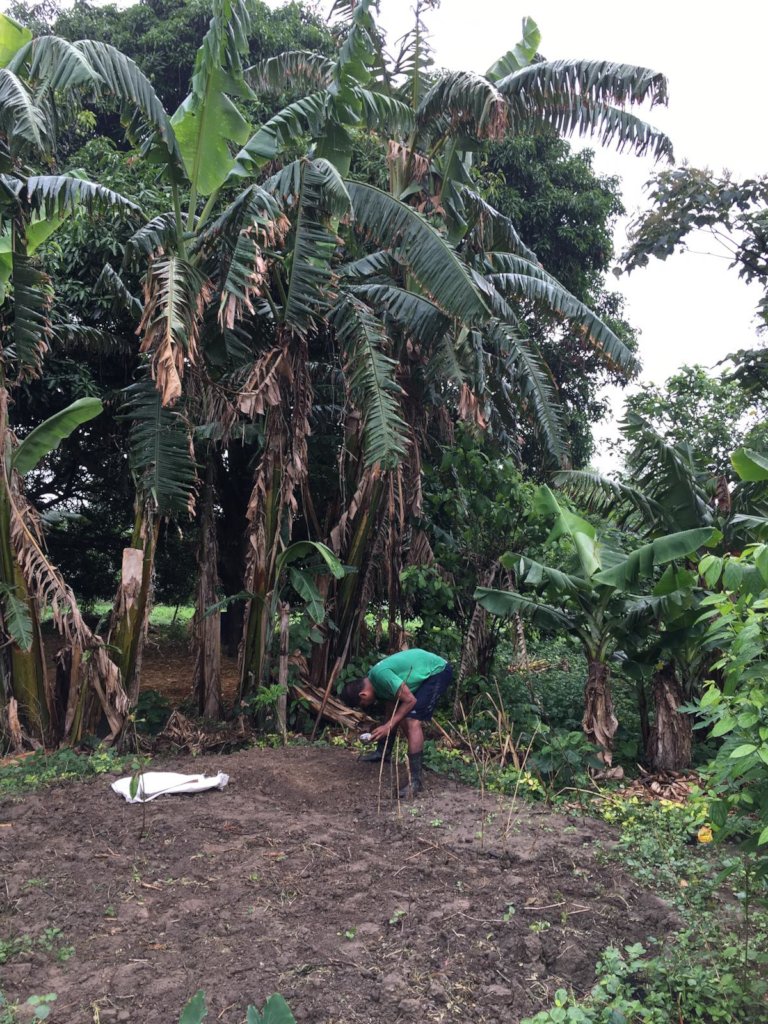 Peer training to switch to organic farming - Nepal