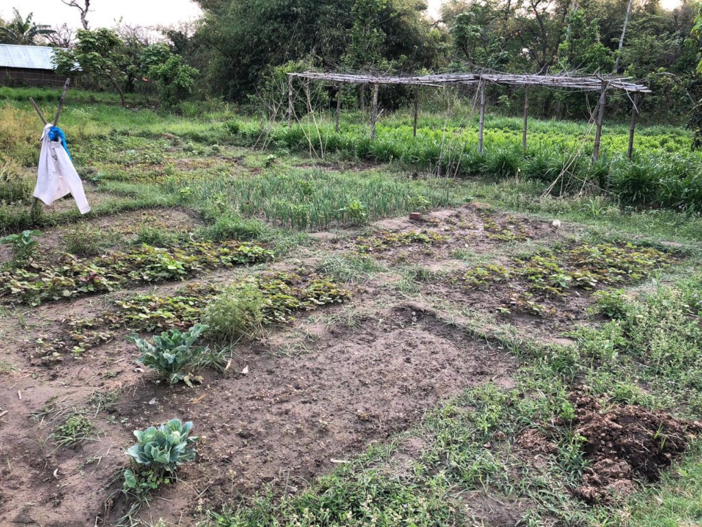 Peer training to switch to organic farming - Nepal