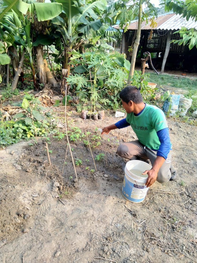 Peer training to switch to organic farming - Nepal