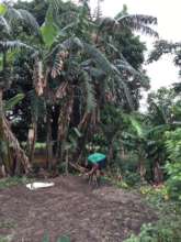 Sudarshan watering the home nursery