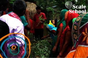 Peer training to switch to organic farming - Nepal