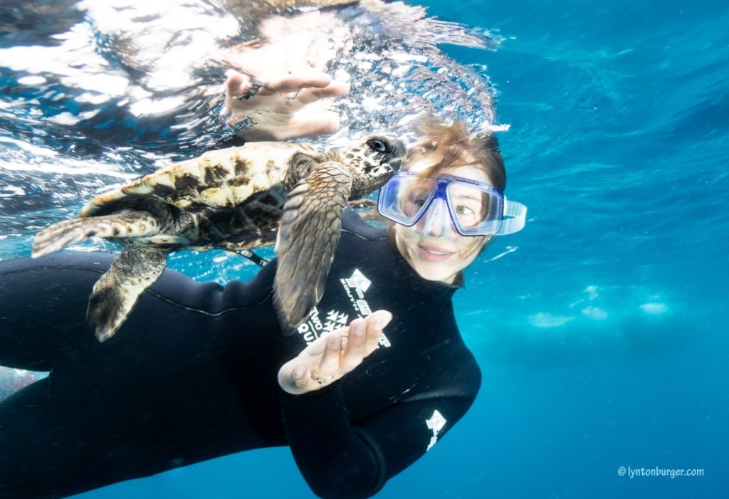 Inspiring & Training Young Marine Conservationists