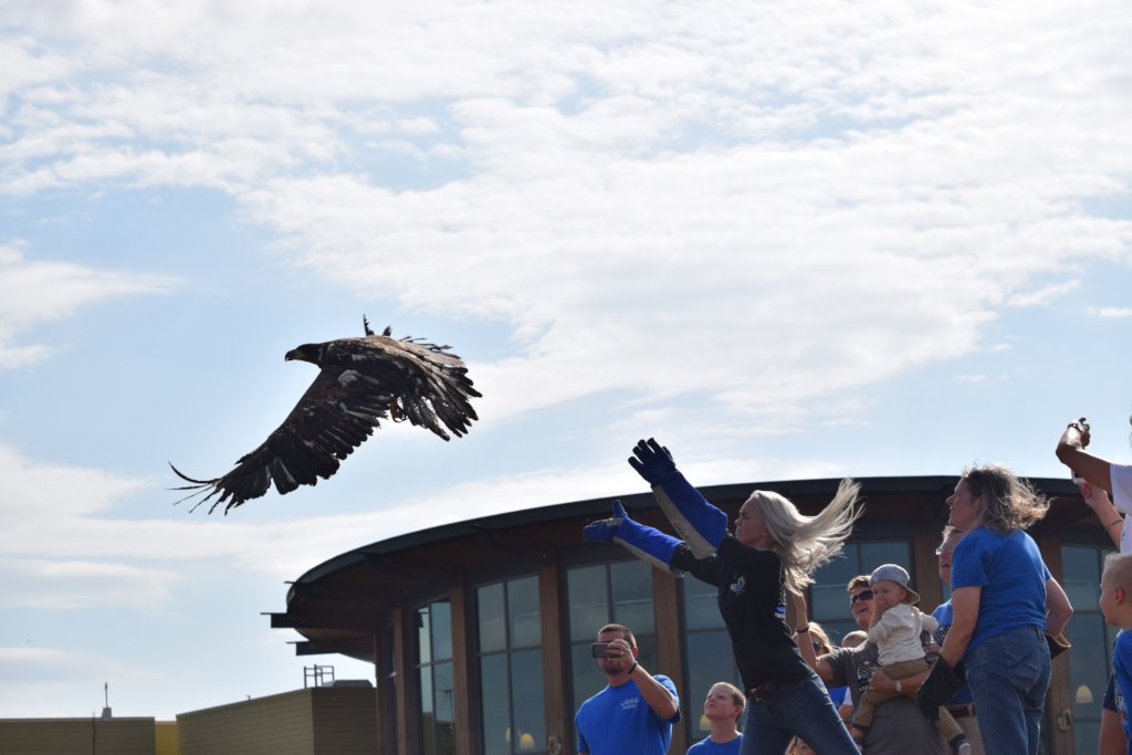 Equipment For Wildlife Rescue and Rehab