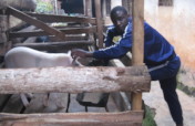 Give Hope to 120 Widows and Orphans in Cameroon