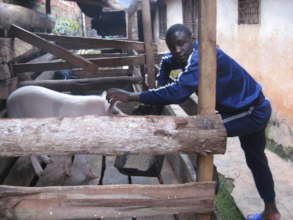 Give Hope to 120 Widows and Orphans in Cameroon