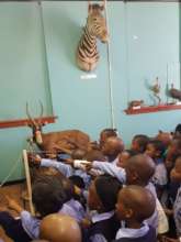 Pre-school tour to the museum
