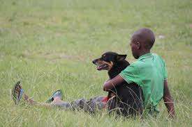 Boy's best friend