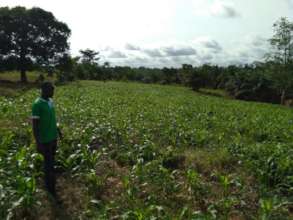 QPM plot at Ama Badu primary school.