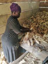 Ayishetu prepping the maize for the tom brown.