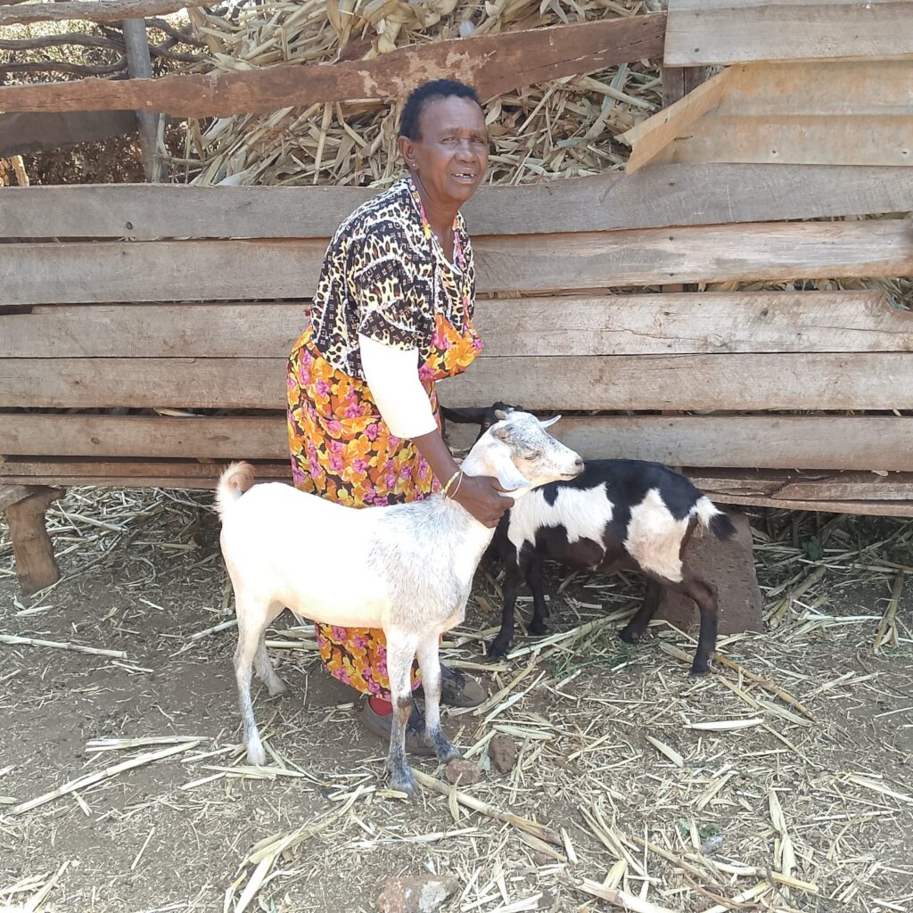 Baimpui Ringine with her goats, Mituntu